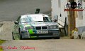 bmw gris